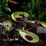 Tropical Fruit Avocado Salad Bowl