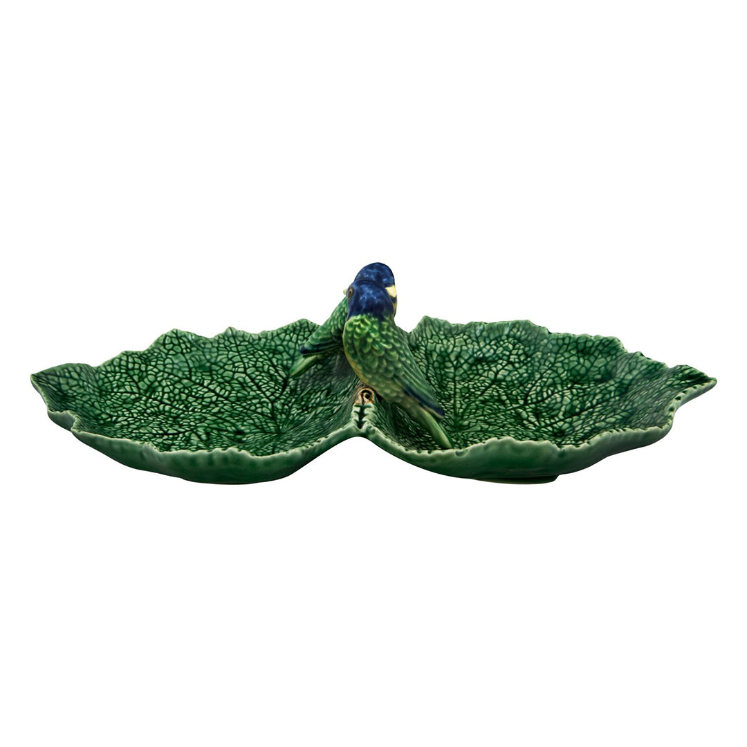 Cinerária Double Leaf with Blue Birds