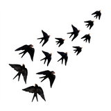Swallow Flock - Large