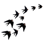 Swallow Flock - Medium